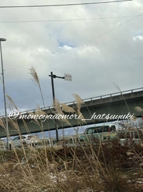 ���ε����β���