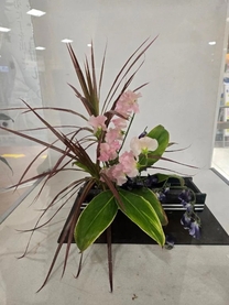 ���ε����β���