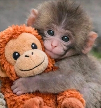 �X���X��&�p���`����̉摜