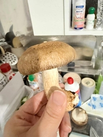 24���̂���