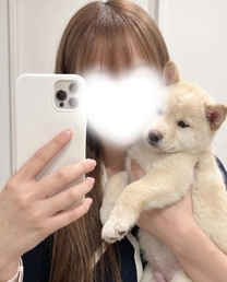 �u���O�摜