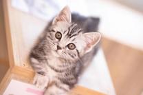 ?�������x...