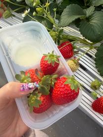 ��������...