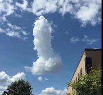 1/13�̂����??