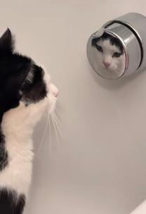 �u���O�摜