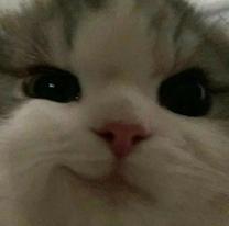 肪...