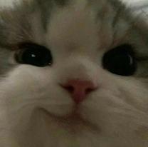 肪Ƃ܂I