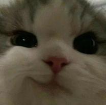 肪Ƃ܂I