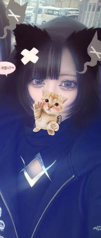 �u���O�摜