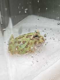 ���ε����β���