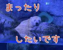 VN}...