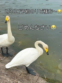 ���ε����β���