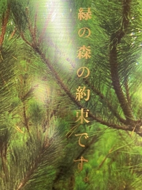 ���ε����β���