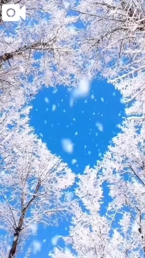 ���ε����β���