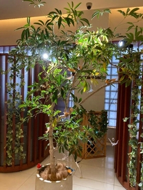 ���ε����β���