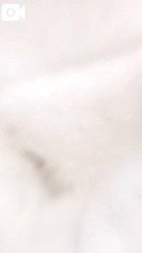 ��������...