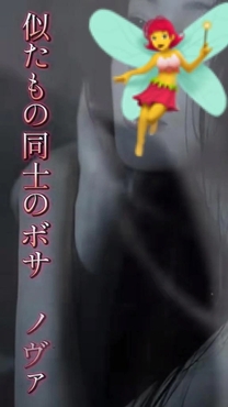 ���ε����β���