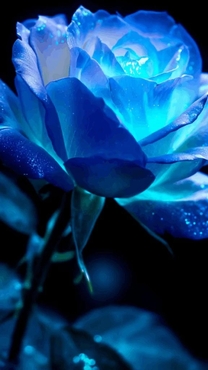 ���ε����β���