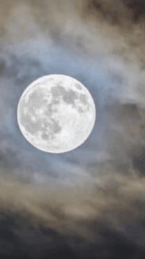 ���ε����β���