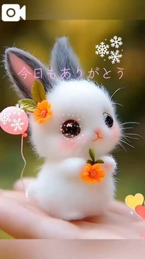 ���Y�R�[�g�ɂāA�A�A