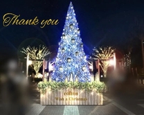 ���ε����β���