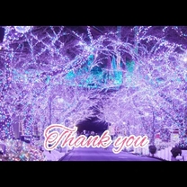 ���ε����β���