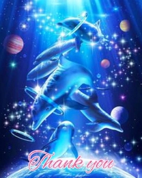 ���ε����β���