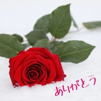 �������...