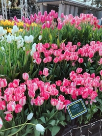 ���ε����β���