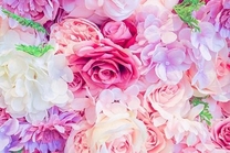 ���ε����β���