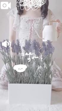 .       ̂Z܂ւ̉摜