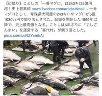 ���ε����β���