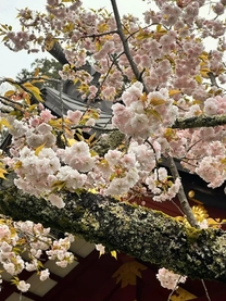 ���ε����β���