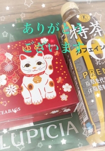 ���ε����β���