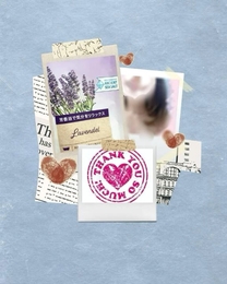 ���ε����β���