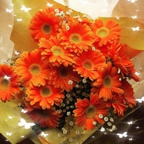 Ange...