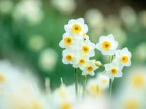 ���ε����β���