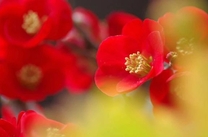 ���ε����β���