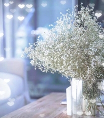 ���ε����β���