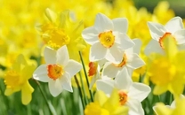 13(��)�̂���