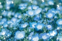 ���ε����β���