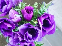 ���ε����β���