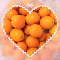 ���ε����β���