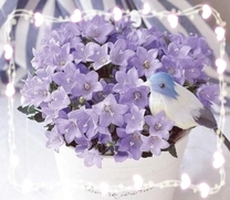 28(�y)�̂���