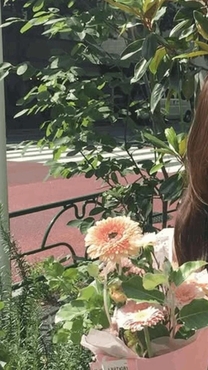 肪...