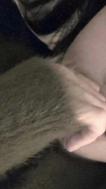 ����ɂ�...