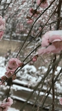 ���ε����β���