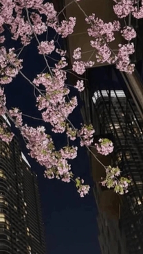 ���ε����β���