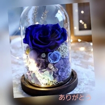 ���ε����β���