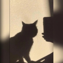 ���ε����β���